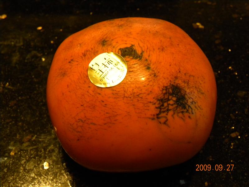 亂七八糟買一通,倫敦,土耳其,大阪,宜蘭,居酒屋,捷克,旅遊,早午餐,板橋,法國,甜柿切法,秋天的滋味,網路購物,美味食記,美食,自由行,黑屁屁甜柿 @跟著Julie一起走吧 亂七八糟買一通,倫敦,土耳其,大阪,宜蘭,居酒屋,捷克,旅遊,早午餐,板橋,法國,甜柿切法,秋天的滋味,網路購物,美味食記,美食,自由行,黑屁屁甜柿 @跟著Julie一起走吧