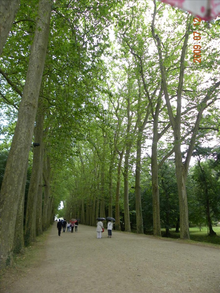2009法國,7.12,Chateau,chenonceau,de,倫敦,國外旅遊,土耳其,大阪,宜蘭,居酒屋,捷克,旅遊,早午餐,板橋,法國,美食,自由行,雪濃莎堡 @跟著Julie一起走吧 2009法國,7.12,Chateau,chenonceau,de,倫敦,國外旅遊,土耳其,大阪,宜蘭,居酒屋,捷克,旅遊,早午餐,板橋,法國,美食,自由行,雪濃莎堡 @跟著Julie一起走吧