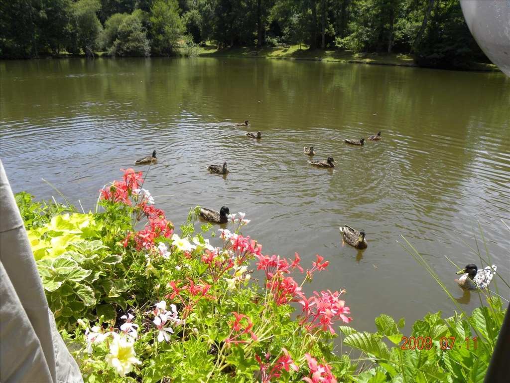 2009法國,7.11,LIMOGES附近的米其林兩顆星湖邊餐廳,倫敦,國外旅遊,土耳其,大阪,宜蘭,居酒屋,捷克,旅遊,早午餐,板橋,法國,美食,自由行 @跟著Julie一起走吧 2009法國,7.11,LIMOGES附近的米其林兩顆星湖邊餐廳,倫敦,國外旅遊,土耳其,大阪,宜蘭,居酒屋,捷克,旅遊,早午餐,板橋,法國,美食,自由行 @跟著Julie一起走吧