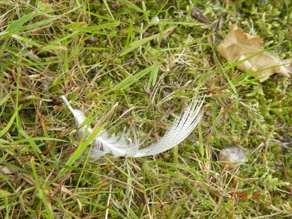 2009法國,7.11,LIMOGES附近的米其林兩顆星湖邊餐廳,倫敦,國外旅遊,土耳其,大阪,宜蘭,居酒屋,捷克,旅遊,早午餐,板橋,法國,美食,自由行 @跟著Julie一起走吧 2009法國,7.11,LIMOGES附近的米其林兩顆星湖邊餐廳,倫敦,國外旅遊,土耳其,大阪,宜蘭,居酒屋,捷克,旅遊,早午餐,板橋,法國,美食,自由行 @跟著Julie一起走吧