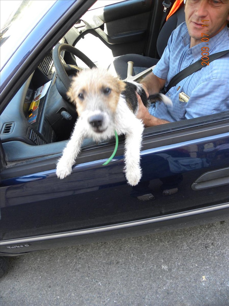 2009法國,7.11,倫敦,國外旅遊,土耳其,大阪,宜蘭,居酒屋,捷克,旅遊,早午餐,板橋,法國,經過Lanouaille小鎮,美食,自由行 @跟著Julie一起走吧 2009法國,7.11,倫敦,國外旅遊,土耳其,大阪,宜蘭,居酒屋,捷克,旅遊,早午餐,板橋,法國,經過Lanouaille小鎮,美食,自由行 @跟著Julie一起走吧