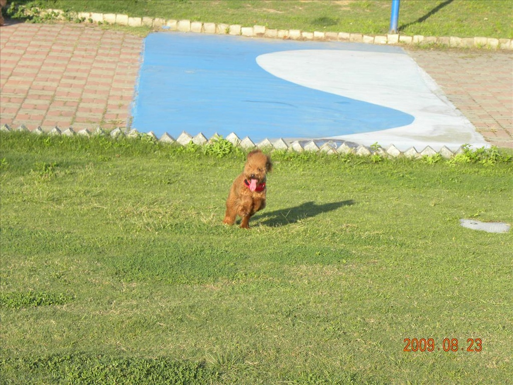 2009.8.23,倫敦,北部,土耳其,大阪,宜蘭,居酒屋,捷克,新竹的白吃白喝之旅,旅遊,早午餐,板橋,法國,美味食記,美食,自由行 @跟著Julie一起走吧 2009.8.23,倫敦,北部,土耳其,大阪,宜蘭,居酒屋,捷克,新竹的白吃白喝之旅,旅遊,早午餐,板橋,法國,美味食記,美食,自由行 @跟著Julie一起走吧