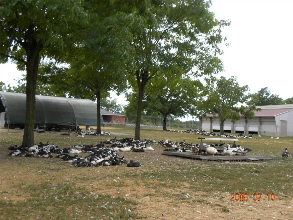 2009法國,7.10,倫敦,國外旅遊,土耳其,大阪,宜蘭,居酒屋,捷克,旅遊,早午餐,板橋,法國,美食,自由行,鵝肝醬是怎麼做的 @跟著Julie一起走吧 2009法國,7.10,倫敦,國外旅遊,土耳其,大阪,宜蘭,居酒屋,捷克,旅遊,早午餐,板橋,法國,美食,自由行,鵝肝醬是怎麼做的 @跟著Julie一起走吧