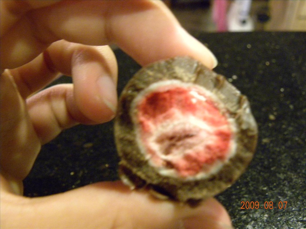 2009北海道,ROYCE,倫敦,六花亭,國外旅遊,土耳其,大阪,宜蘭,居酒屋,巧克力零食篇,捷克,旅遊,早午餐,板橋,法國,美食,自由行 @跟著Julie一起走吧 2009北海道,ROYCE,倫敦,六花亭,國外旅遊,土耳其,大阪,宜蘭,居酒屋,巧克力零食篇,捷克,旅遊,早午餐,板橋,法國,美食,自由行 @跟著Julie一起走吧