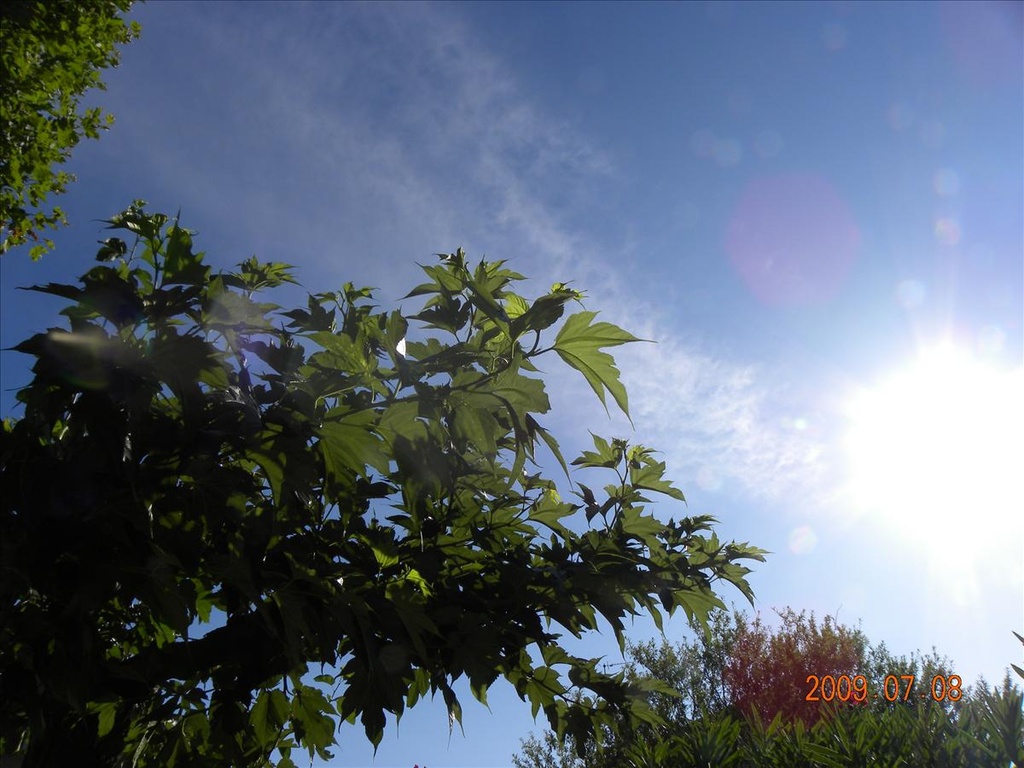 2009法國,7.8,倫敦,向日葵田,國外旅遊,土耳其,大阪,宜蘭,居酒屋,捷克,旅遊,早午餐,板橋,法國,美食,自由行,農莊的早餐 @跟著Julie一起走吧 2009法國,7.8,倫敦,向日葵田,國外旅遊,土耳其,大阪,宜蘭,居酒屋,捷克,旅遊,早午餐,板橋,法國,美食,自由行,農莊的早餐 @跟著Julie一起走吧