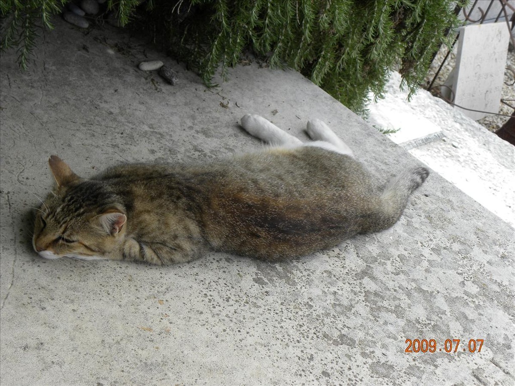 2009法國,7.7,de,ST.PAUL,VENCE,倫敦,國外旅遊,土耳其,大阪,宜蘭,居酒屋,捷克,旅遊,早午餐,板橋,法國,美食,聖保羅村,自由行 @跟著Julie一起走吧 2009法國,7.7,de,ST.PAUL,VENCE,倫敦,國外旅遊,土耳其,大阪,宜蘭,居酒屋,捷克,旅遊,早午餐,板橋,法國,美食,聖保羅村,自由行 @跟著Julie一起走吧