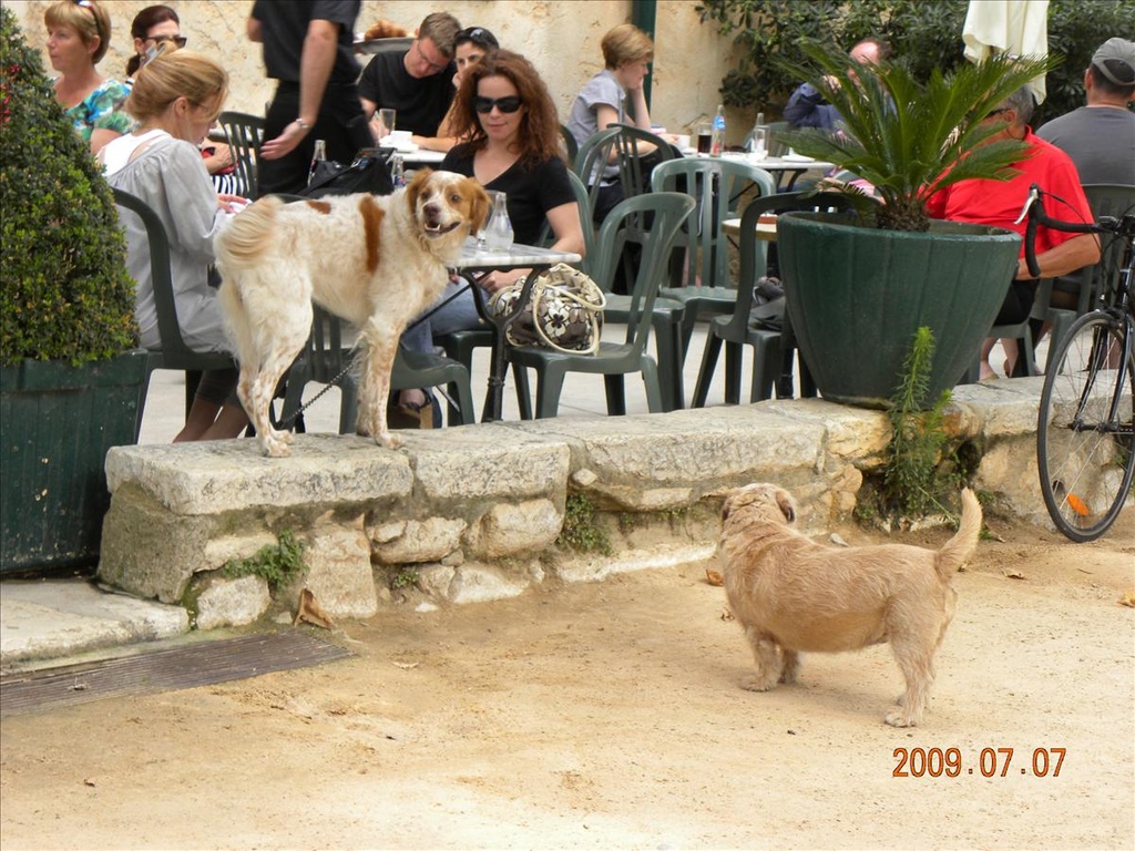 2009法國,7.7,de,ST.PAUL,VENCE,倫敦,國外旅遊,土耳其,大阪,宜蘭,居酒屋,捷克,旅遊,早午餐,板橋,法國,美食,聖保羅村,自由行 @跟著Julie一起走吧 2009法國,7.7,de,ST.PAUL,VENCE,倫敦,國外旅遊,土耳其,大阪,宜蘭,居酒屋,捷克,旅遊,早午餐,板橋,法國,美食,聖保羅村,自由行 @跟著Julie一起走吧