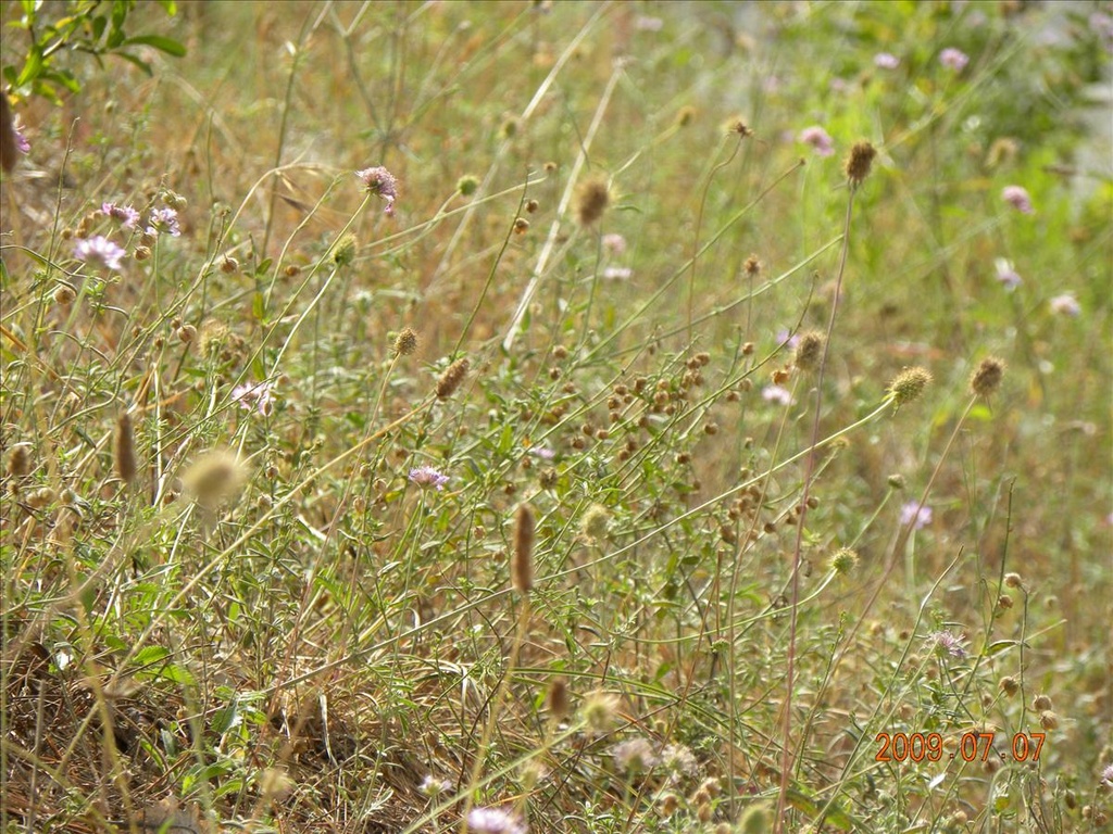 2009法國,7.7,倫敦,國外旅遊,土耳其,大阪,宜蘭,居酒屋,捷克,旅遊,早午餐,板橋,法國,美食,自由行,進入聖保羅村前的雜拍,飯店的早餐 @跟著Julie一起走吧 2009法國,7.7,倫敦,國外旅遊,土耳其,大阪,宜蘭,居酒屋,捷克,旅遊,早午餐,板橋,法國,美食,自由行,進入聖保羅村前的雜拍,飯店的早餐 @跟著Julie一起走吧