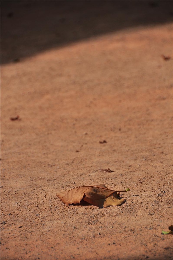 2009法國,7.7,倫敦,國外旅遊,土耳其,大阪,宜蘭,居酒屋,捷克,旅遊,早午餐,板橋,法國,美食,自由行,進入聖保羅村前的雜拍,飯店的早餐 @跟著Julie一起走吧 2009法國,7.7,倫敦,國外旅遊,土耳其,大阪,宜蘭,居酒屋,捷克,旅遊,早午餐,板橋,法國,美食,自由行,進入聖保羅村前的雜拍,飯店的早餐 @跟著Julie一起走吧