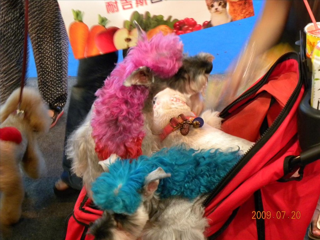 2009,倫敦,台北水族暨寵物用品展,土耳其,大阪,宜蘭,寵物日記,居酒屋,捷克,插播,旅遊,早午餐,板橋,法國,美食,自由行,鐵三角 @跟著Julie一起走吧 2009,倫敦,台北水族暨寵物用品展,土耳其,大阪,宜蘭,寵物日記,居酒屋,捷克,插播,旅遊,早午餐,板橋,法國,美食,自由行,鐵三角 @跟著Julie一起走吧