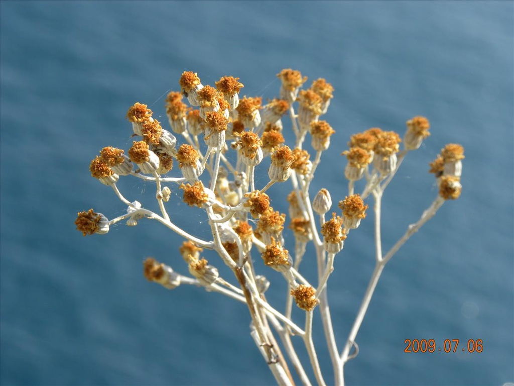 2009法國,7.6,Monaco,倫敦,公國散步去,國外旅遊,土耳其,大阪,宜蘭,居酒屋,捷克,摩納哥,旅遊,早午餐,板橋,法國,美食,自由行,補充了凱莉包的由來 @跟著Julie一起走吧 2009法國,7.6,Monaco,倫敦,公國散步去,國外旅遊,土耳其,大阪,宜蘭,居酒屋,捷克,摩納哥,旅遊,早午餐,板橋,法國,美食,自由行,補充了凱莉包的由來 @跟著Julie一起走吧