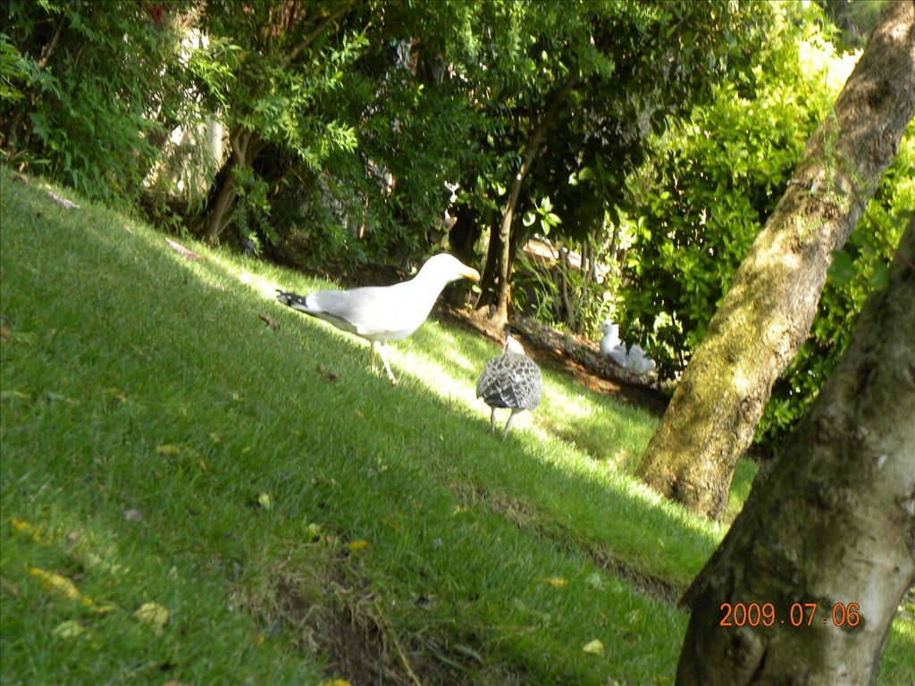 2009法國,7.6,Monaco,倫敦,公國散步去,國外旅遊,土耳其,大阪,宜蘭,居酒屋,捷克,摩納哥,旅遊,早午餐,板橋,法國,美食,自由行,補充了凱莉包的由來 @跟著Julie一起走吧 2009法國,7.6,Monaco,倫敦,公國散步去,國外旅遊,土耳其,大阪,宜蘭,居酒屋,捷克,摩納哥,旅遊,早午餐,板橋,法國,美食,自由行,補充了凱莉包的由來 @跟著Julie一起走吧