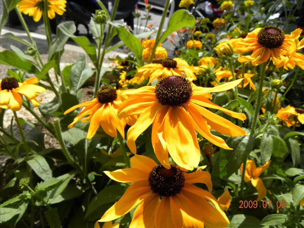 2009法國,7.6,倫敦,國外旅遊,土耳其,大阪,宜蘭,尼斯之大暴走,居酒屋,捷克,旅遊,早午餐,板橋,法國,美食,自由行 @跟著Julie一起走吧 2009法國,7.6,倫敦,國外旅遊,土耳其,大阪,宜蘭,尼斯之大暴走,居酒屋,捷克,旅遊,早午餐,板橋,法國,美食,自由行 @跟著Julie一起走吧