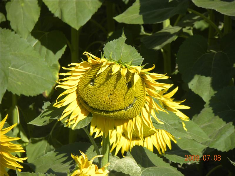 2009法國,倫敦,國外旅遊,團員簡介,土耳其,大阪,宜蘭,居酒屋,從法國回來了,捷克,整體感想,旅遊,早午餐,板橋,法國,美食,自由行 @跟著Julie一起走吧 2009法國,倫敦,國外旅遊,團員簡介,土耳其,大阪,宜蘭,居酒屋,從法國回來了,捷克,整體感想,旅遊,早午餐,板橋,法國,美食,自由行 @跟著Julie一起走吧