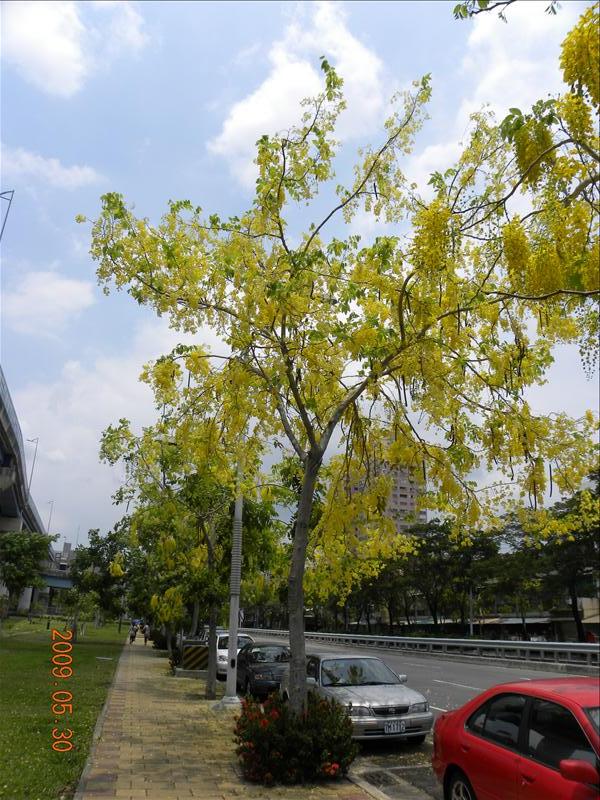 2009.5.30,倫敦,前往高捷左營站,南部,國內旅遊,土耳其,大阪,宜蘭,居酒屋,捷克,旅遊,早午餐,板橋,橋頭糖廠,法國,美食,自由行,高雄趴趴走 @跟著Julie一起走吧 2009.5.30,倫敦,前往高捷左營站,南部,國內旅遊,土耳其,大阪,宜蘭,居酒屋,捷克,旅遊,早午餐,板橋,橋頭糖廠,法國,美食,自由行,高雄趴趴走 @跟著Julie一起走吧