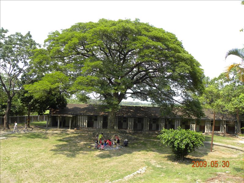 2009.5.30,倫敦,前往高捷左營站,南部,國內旅遊,土耳其,大阪,宜蘭,居酒屋,捷克,旅遊,早午餐,板橋,橋頭糖廠,法國,美食,自由行,高雄趴趴走 @跟著Julie一起走吧 2009.5.30,倫敦,前往高捷左營站,南部,國內旅遊,土耳其,大阪,宜蘭,居酒屋,捷克,旅遊,早午餐,板橋,橋頭糖廠,法國,美食,自由行,高雄趴趴走 @跟著Julie一起走吧