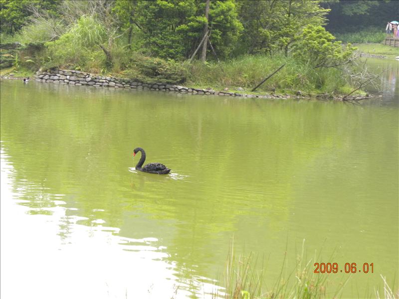 2009.6.1,倫敦,北部,國內旅遊,土耳其,大阪,宜蘭,宜蘭馬告之旅,居酒屋,捷克,旅遊,早午餐,明池森林遊樂區vol.1,板橋,法國,美食,自由行 @跟著Julie一起走吧 2009.6.1,倫敦,北部,國內旅遊,土耳其,大阪,宜蘭,宜蘭馬告之旅,居酒屋,捷克,旅遊,早午餐,明池森林遊樂區vol.1,板橋,法國,美食,自由行 @跟著Julie一起走吧