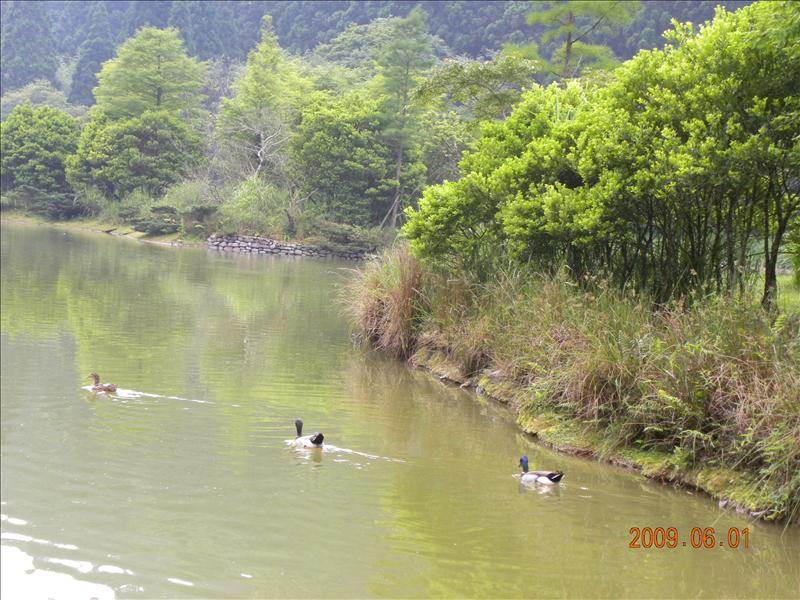 2009.6.1,倫敦,北部,國內旅遊,土耳其,大阪,宜蘭,宜蘭馬告之旅,居酒屋,捷克,旅遊,早午餐,明池森林遊樂區vol.1,板橋,法國,美食,自由行 @跟著Julie一起走吧 2009.6.1,倫敦,北部,國內旅遊,土耳其,大阪,宜蘭,宜蘭馬告之旅,居酒屋,捷克,旅遊,早午餐,明池森林遊樂區vol.1,板橋,法國,美食,自由行 @跟著Julie一起走吧