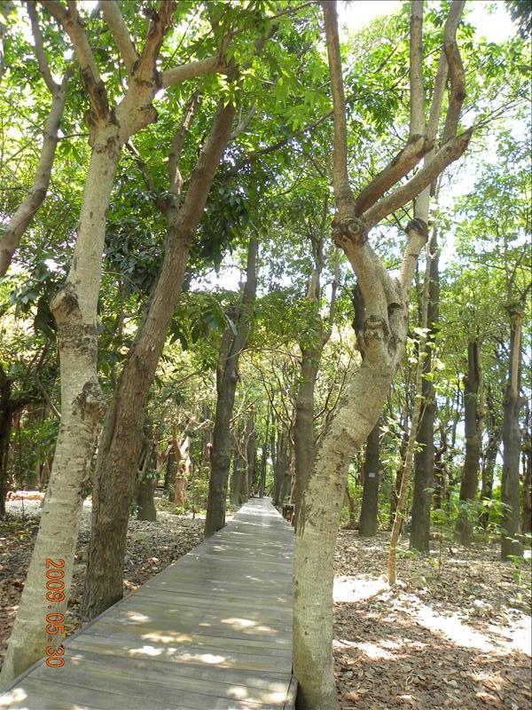 2009.5.30,倫敦,南部,原生植物園,國內旅遊,土耳其,大阪,宜蘭,居酒屋,捷克,旅遊,早午餐,板橋,法國,美食,自由行,蓮池潭,高雄趴趴走 @跟著Julie一起走吧 2009.5.30,倫敦,南部,原生植物園,國內旅遊,土耳其,大阪,宜蘭,居酒屋,捷克,旅遊,早午餐,板橋,法國,美食,自由行,蓮池潭,高雄趴趴走 @跟著Julie一起走吧