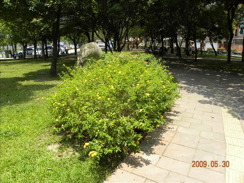 2009.5.30,倫敦,南部,原生植物園,國內旅遊,土耳其,大阪,宜蘭,居酒屋,捷克,旅遊,早午餐,板橋,法國,美食,自由行,蓮池潭,高雄趴趴走 @跟著Julie一起走吧 2009.5.30,倫敦,南部,原生植物園,國內旅遊,土耳其,大阪,宜蘭,居酒屋,捷克,旅遊,早午餐,板橋,法國,美食,自由行,蓮池潭,高雄趴趴走 @跟著Julie一起走吧