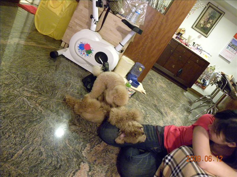 2009.6.12,久違了的二號寶寶,倫敦,土耳其,大阪,宜蘭,寵物日記,居酒屋,捷克,旅遊,早午餐,板橋,法國,美食,自由行,鐵三角 @跟著Julie一起走吧 2009.6.12,久違了的二號寶寶,倫敦,土耳其,大阪,宜蘭,寵物日記,居酒屋,捷克,旅遊,早午餐,板橋,法國,美食,自由行,鐵三角 @跟著Julie一起走吧