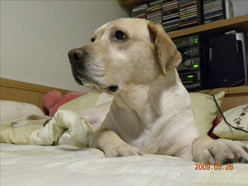 倫敦,土耳其,大阪,好久不見的我家的鐵三角,宜蘭,寵物日記,居酒屋,捷克,旅遊,早午餐,板橋,法國,登場,美食,自由行,鐵三角 @跟著Julie一起走吧 倫敦,土耳其,大阪,好久不見的我家的鐵三角,宜蘭,寵物日記,居酒屋,捷克,旅遊,早午餐,板橋,法國,登場,美食,自由行,鐵三角 @跟著Julie一起走吧