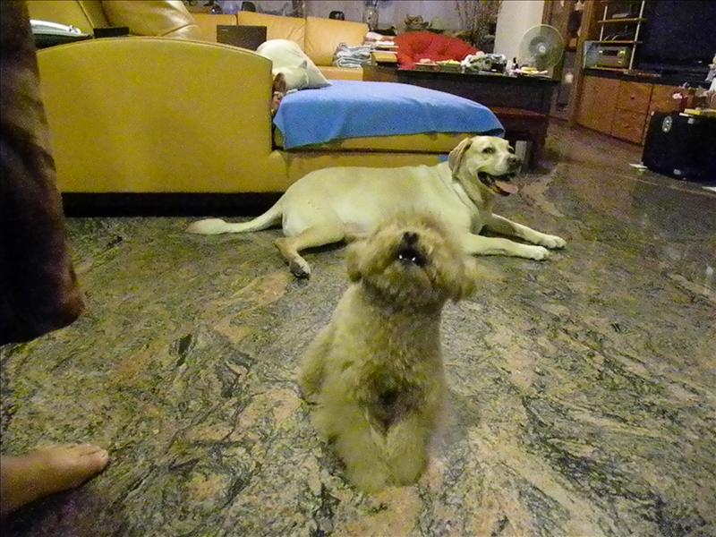 倫敦,土耳其,大阪,好久不見的我家的鐵三角,宜蘭,寵物日記,居酒屋,捷克,旅遊,早午餐,板橋,法國,登場,美食,自由行,鐵三角 @跟著Julie一起走吧 倫敦,土耳其,大阪,好久不見的我家的鐵三角,宜蘭,寵物日記,居酒屋,捷克,旅遊,早午餐,板橋,法國,登場,美食,自由行,鐵三角 @跟著Julie一起走吧