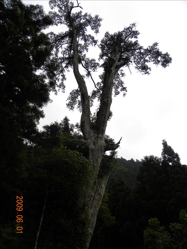 2009.6.1,倫敦,北部,國內旅遊,土耳其,大阪,宜蘭,宜蘭午餐,宜蘭馬告之旅,居酒屋,捷克,旅遊,早午餐,明池山莊雜拍,板橋,法國,美食,自由行 @跟著Julie一起走吧 2009.6.1,倫敦,北部,國內旅遊,土耳其,大阪,宜蘭,宜蘭午餐,宜蘭馬告之旅,居酒屋,捷克,旅遊,早午餐,明池山莊雜拍,板橋,法國,美食,自由行 @跟著Julie一起走吧