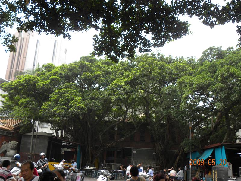 2009.5.20媽祖宮口吃小吃,中餐,倫敦,台北大暴走,土耳其,大阪,宜蘭,居酒屋,捷克,旅遊,早午餐,板橋,法國,美味食記,美食,自由行 @跟著Julie一起走吧 2009.5.20媽祖宮口吃小吃,中餐,倫敦,台北大暴走,土耳其,大阪,宜蘭,居酒屋,捷克,旅遊,早午餐,板橋,法國,美味食記,美食,自由行 @跟著Julie一起走吧