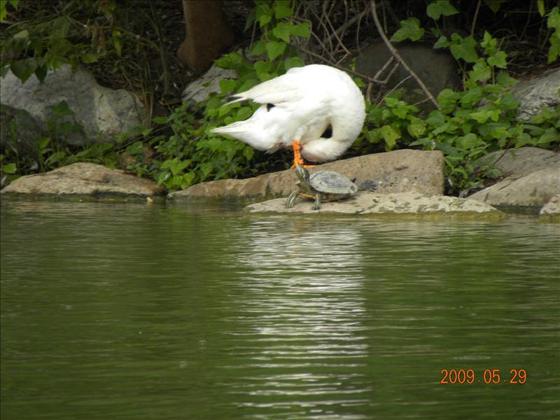 2009.5.29,倫敦,南部,國內旅遊,土耳其,大阪,宜蘭,居酒屋,捷克,旅遊,早午餐,板橋,法國,美食,自由行,高雄市立美術館篇,高雄美術館,高雄趴趴走 @跟著Julie一起走吧 2009.5.29,倫敦,南部,國內旅遊,土耳其,大阪,宜蘭,居酒屋,捷克,旅遊,早午餐,板橋,法國,美食,自由行,高雄市立美術館篇,高雄美術館,高雄趴趴走 @跟著Julie一起走吧