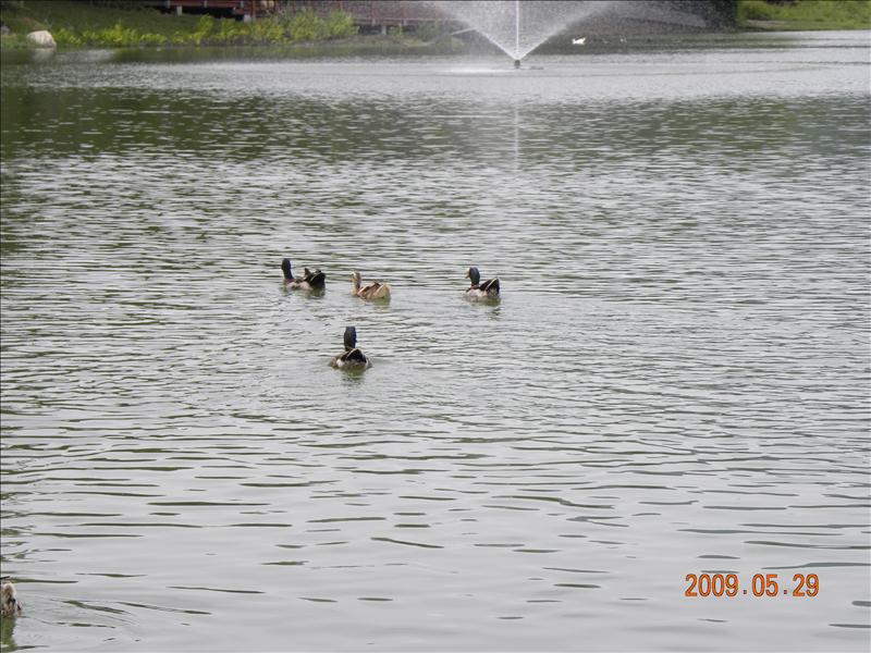 2009.5.29,倫敦,南部,國內旅遊,土耳其,大阪,宜蘭,居酒屋,捷克,旅遊,早午餐,板橋,法國,美食,自由行,高雄市立美術館篇,高雄美術館,高雄趴趴走 @跟著Julie一起走吧 2009.5.29,倫敦,南部,國內旅遊,土耳其,大阪,宜蘭,居酒屋,捷克,旅遊,早午餐,板橋,法國,美食,自由行,高雄市立美術館篇,高雄美術館,高雄趴趴走 @跟著Julie一起走吧