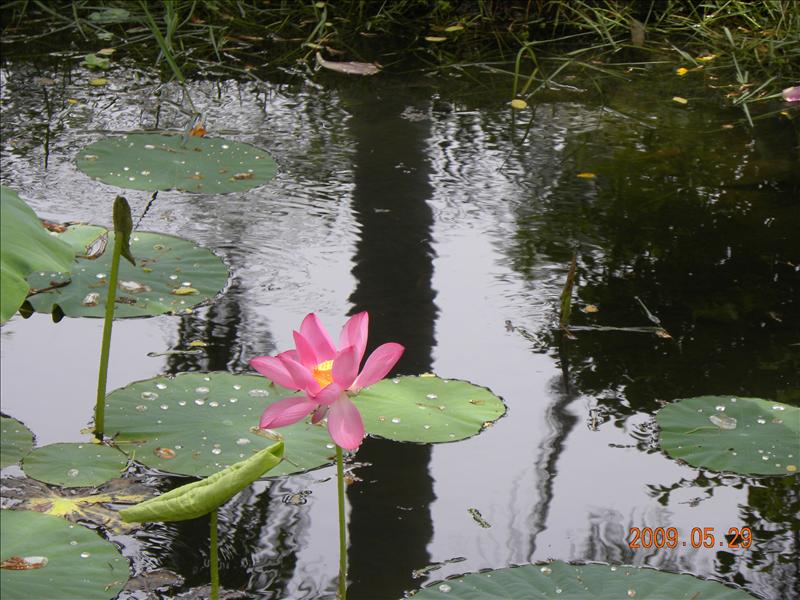 2009.5.29,倫敦,南部,國內旅遊,土耳其,大阪,宜蘭,居酒屋,捷克,旅遊,早午餐,板橋,法國,美食,自由行,高雄市立美術館篇,高雄美術館,高雄趴趴走 @跟著Julie一起走吧 2009.5.29,倫敦,南部,國內旅遊,土耳其,大阪,宜蘭,居酒屋,捷克,旅遊,早午餐,板橋,法國,美食,自由行,高雄市立美術館篇,高雄美術館,高雄趴趴走 @跟著Julie一起走吧