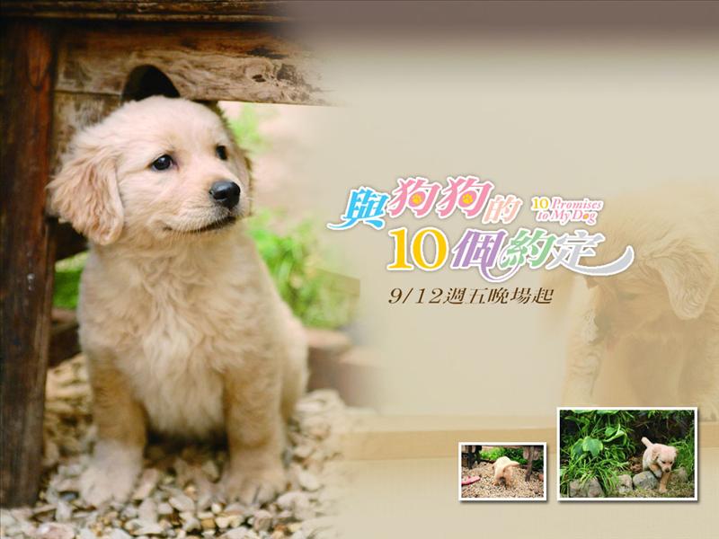 .,.真是哭慘了,倫敦,土耳其,大阪,宜蘭,居酒屋,心情日記,捷克,旅遊,早午餐,板橋,法國,美食,自由行,這兩天,鐵三角 @跟著Julie一起走吧 .,.真是哭慘了,倫敦,土耳其,大阪,宜蘭,居酒屋,心情日記,捷克,旅遊,早午餐,板橋,法國,美食,自由行,這兩天,鐵三角 @跟著Julie一起走吧