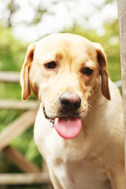 .,.真是哭慘了,倫敦,土耳其,大阪,宜蘭,居酒屋,心情日記,捷克,旅遊,早午餐,板橋,法國,美食,自由行,這兩天,鐵三角 @跟著Julie一起走吧 .,.真是哭慘了,倫敦,土耳其,大阪,宜蘭,居酒屋,心情日記,捷克,旅遊,早午餐,板橋,法國,美食,自由行,這兩天,鐵三角 @跟著Julie一起走吧