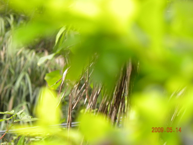 2009.5.14奮起湖緩慢之旅,vol.12,倫敦,南部,國內旅遊,土耳其,在緩慢中庭練習拍照,大阪,宜蘭,居酒屋,捷克,旅遊,早午餐,板橋,法國,美食,自由行 @跟著Julie一起走吧 2009.5.14奮起湖緩慢之旅,vol.12,倫敦,南部,國內旅遊,土耳其,在緩慢中庭練習拍照,大阪,宜蘭,居酒屋,捷克,旅遊,早午餐,板橋,法國,美食,自由行 @跟著Julie一起走吧