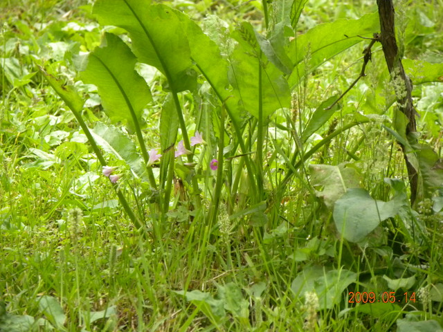 2009.5.14奮起湖緩慢之旅,vol.12,倫敦,南部,國內旅遊,土耳其,在緩慢中庭練習拍照,大阪,宜蘭,居酒屋,捷克,旅遊,早午餐,板橋,法國,美食,自由行 @跟著Julie一起走吧 2009.5.14奮起湖緩慢之旅,vol.12,倫敦,南部,國內旅遊,土耳其,在緩慢中庭練習拍照,大阪,宜蘭,居酒屋,捷克,旅遊,早午餐,板橋,法國,美食,自由行 @跟著Julie一起走吧