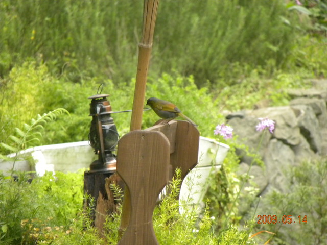 2009.5.14奮起湖緩慢之旅,vol.12,倫敦,南部,國內旅遊,土耳其,在緩慢中庭練習拍照,大阪,宜蘭,居酒屋,捷克,旅遊,早午餐,板橋,法國,美食,自由行 @跟著Julie一起走吧 2009.5.14奮起湖緩慢之旅,vol.12,倫敦,南部,國內旅遊,土耳其,在緩慢中庭練習拍照,大阪,宜蘭,居酒屋,捷克,旅遊,早午餐,板橋,法國,美食,自由行 @跟著Julie一起走吧