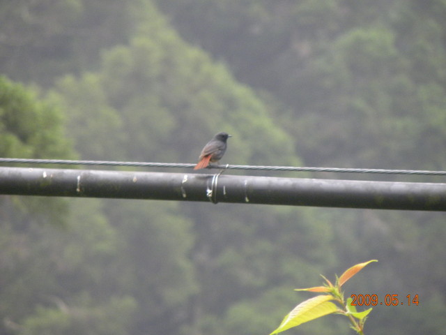 2009.5.14奮起湖緩慢之旅,vol.12,倫敦,南部,國內旅遊,土耳其,在緩慢中庭練習拍照,大阪,宜蘭,居酒屋,捷克,旅遊,早午餐,板橋,法國,美食,自由行 @跟著Julie一起走吧 2009.5.14奮起湖緩慢之旅,vol.12,倫敦,南部,國內旅遊,土耳其,在緩慢中庭練習拍照,大阪,宜蘭,居酒屋,捷克,旅遊,早午餐,板橋,法國,美食,自由行 @跟著Julie一起走吧