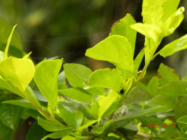 2009.5.14奮起湖緩慢之旅,vol.12,倫敦,南部,國內旅遊,土耳其,在緩慢中庭練習拍照,大阪,宜蘭,居酒屋,捷克,旅遊,早午餐,板橋,法國,美食,自由行 @跟著Julie一起走吧 2009.5.14奮起湖緩慢之旅,vol.12,倫敦,南部,國內旅遊,土耳其,在緩慢中庭練習拍照,大阪,宜蘭,居酒屋,捷克,旅遊,早午餐,板橋,法國,美食,自由行 @跟著Julie一起走吧