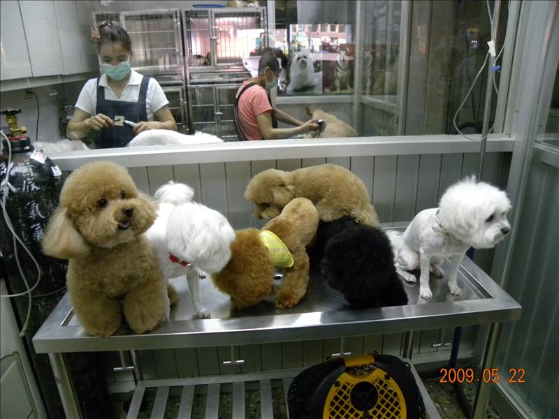 倫敦,土耳其,大阪,宜蘭,寵物日記,居酒屋,捷克,旅遊,早午餐,板橋,法國,看看可愛的狗寶貝吧,美食,自由行,讓奮起湖喘口氣,鐵三角 @跟著Julie一起走吧 倫敦,土耳其,大阪,宜蘭,寵物日記,居酒屋,捷克,旅遊,早午餐,板橋,法國,看看可愛的狗寶貝吧,美食,自由行,讓奮起湖喘口氣,鐵三角 @跟著Julie一起走吧