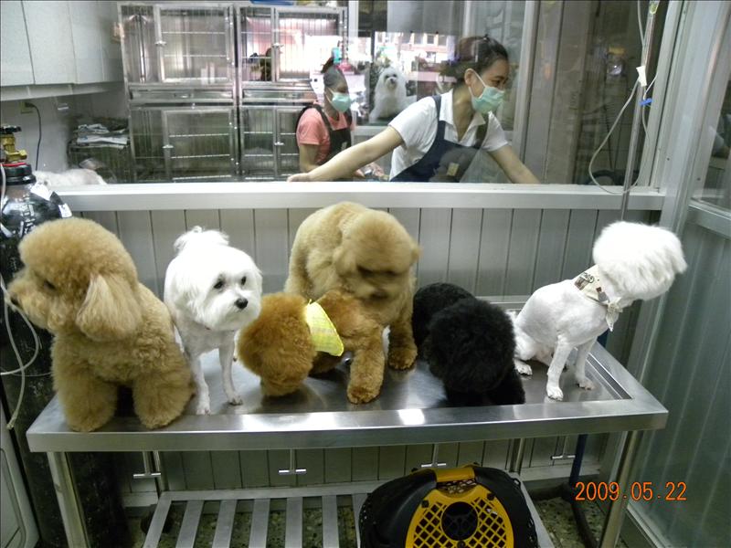 倫敦,土耳其,大阪,宜蘭,寵物日記,居酒屋,捷克,旅遊,早午餐,板橋,法國,看看可愛的狗寶貝吧,美食,自由行,讓奮起湖喘口氣,鐵三角 @跟著Julie一起走吧 倫敦,土耳其,大阪,宜蘭,寵物日記,居酒屋,捷克,旅遊,早午餐,板橋,法國,看看可愛的狗寶貝吧,美食,自由行,讓奮起湖喘口氣,鐵三角 @跟著Julie一起走吧