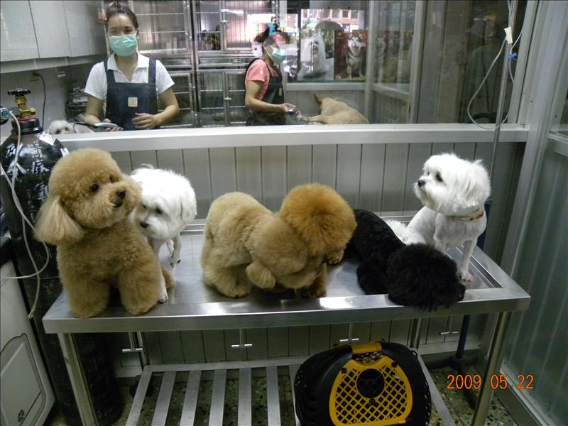 倫敦,土耳其,大阪,宜蘭,寵物日記,居酒屋,捷克,旅遊,早午餐,板橋,法國,看看可愛的狗寶貝吧,美食,自由行,讓奮起湖喘口氣,鐵三角 @跟著Julie一起走吧 倫敦,土耳其,大阪,宜蘭,寵物日記,居酒屋,捷克,旅遊,早午餐,板橋,法國,看看可愛的狗寶貝吧,美食,自由行,讓奮起湖喘口氣,鐵三角 @跟著Julie一起走吧