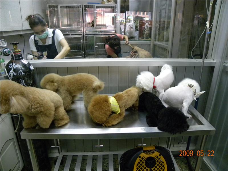 倫敦,土耳其,大阪,宜蘭,寵物日記,居酒屋,捷克,旅遊,早午餐,板橋,法國,看看可愛的狗寶貝吧,美食,自由行,讓奮起湖喘口氣,鐵三角 @跟著Julie一起走吧 倫敦,土耳其,大阪,宜蘭,寵物日記,居酒屋,捷克,旅遊,早午餐,板橋,法國,看看可愛的狗寶貝吧,美食,自由行,讓奮起湖喘口氣,鐵三角 @跟著Julie一起走吧