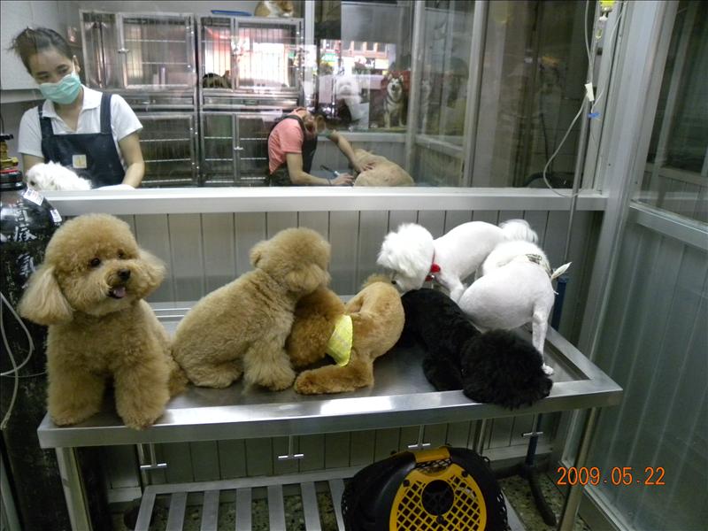 倫敦,土耳其,大阪,宜蘭,寵物日記,居酒屋,捷克,旅遊,早午餐,板橋,法國,看看可愛的狗寶貝吧,美食,自由行,讓奮起湖喘口氣,鐵三角 @跟著Julie一起走吧 倫敦,土耳其,大阪,宜蘭,寵物日記,居酒屋,捷克,旅遊,早午餐,板橋,法國,看看可愛的狗寶貝吧,美食,自由行,讓奮起湖喘口氣,鐵三角 @跟著Julie一起走吧