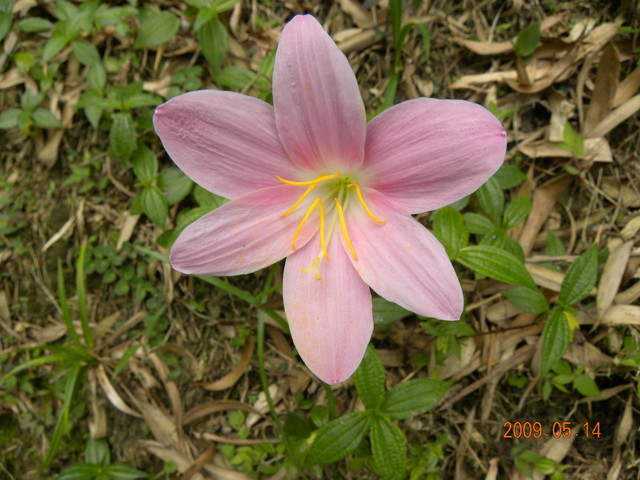 2009.5.14奮起湖緩慢之旅,vol.10,倫敦,南部,國內旅遊,土耳其,大阪,奮起湖文史館,奮起湖爆走,宜蘭,居酒屋,捷克,旅遊,早午餐,板橋,法國,美食,自由行 @跟著Julie一起走吧 2009.5.14奮起湖緩慢之旅,vol.10,倫敦,南部,國內旅遊,土耳其,大阪,奮起湖文史館,奮起湖爆走,宜蘭,居酒屋,捷克,旅遊,早午餐,板橋,法國,美食,自由行 @跟著Julie一起走吧