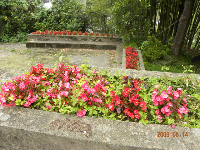 2009.5.14奮起湖緩慢之旅,vol.10,倫敦,南部,國內旅遊,土耳其,大阪,奮起湖文史館,奮起湖爆走,宜蘭,居酒屋,捷克,旅遊,早午餐,板橋,法國,美食,自由行 @跟著Julie一起走吧 2009.5.14奮起湖緩慢之旅,vol.10,倫敦,南部,國內旅遊,土耳其,大阪,奮起湖文史館,奮起湖爆走,宜蘭,居酒屋,捷克,旅遊,早午餐,板橋,法國,美食,自由行 @跟著Julie一起走吧