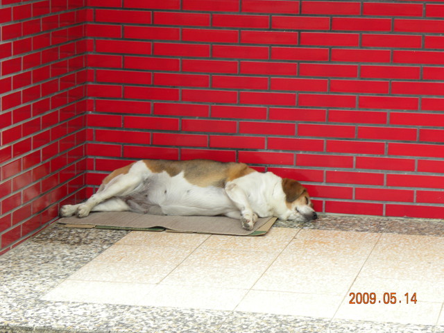 2009.5.14奮起湖緩慢之旅,vol.10,倫敦,南部,國內旅遊,土耳其,大阪,奮起湖文史館,奮起湖爆走,宜蘭,居酒屋,捷克,旅遊,早午餐,板橋,法國,美食,自由行 @跟著Julie一起走吧 2009.5.14奮起湖緩慢之旅,vol.10,倫敦,南部,國內旅遊,土耳其,大阪,奮起湖文史館,奮起湖爆走,宜蘭,居酒屋,捷克,旅遊,早午餐,板橋,法國,美食,自由行 @跟著Julie一起走吧