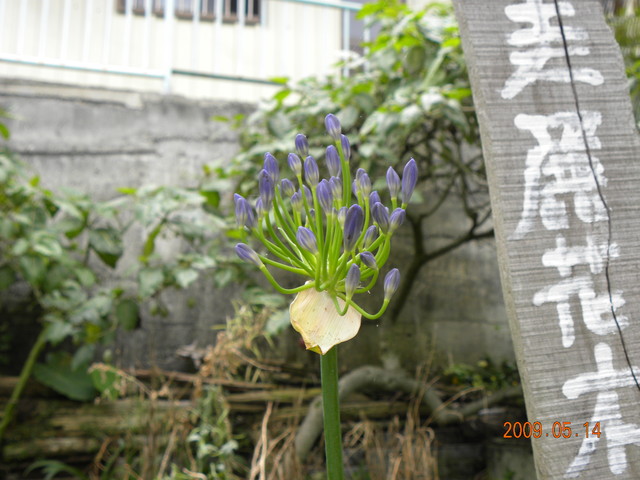 2009.5.14奮起湖緩慢之旅,vol.10,倫敦,南部,國內旅遊,土耳其,大阪,奮起湖文史館,奮起湖爆走,宜蘭,居酒屋,捷克,旅遊,早午餐,板橋,法國,美食,自由行 @跟著Julie一起走吧 2009.5.14奮起湖緩慢之旅,vol.10,倫敦,南部,國內旅遊,土耳其,大阪,奮起湖文史館,奮起湖爆走,宜蘭,居酒屋,捷克,旅遊,早午餐,板橋,法國,美食,自由行 @跟著Julie一起走吧