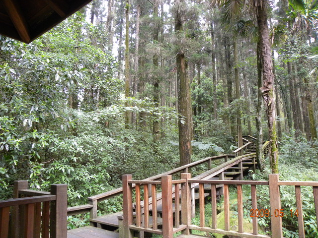 2009.5.14奮起湖緩慢之旅,vol.8,倫敦,南側森林步道,南部,國內旅遊,土耳其,大阪,宜蘭,居酒屋,捷克,旅遊,早午餐,板橋,法國,美食,自由行 @跟著Julie一起走吧 2009.5.14奮起湖緩慢之旅,vol.8,倫敦,南側森林步道,南部,國內旅遊,土耳其,大阪,宜蘭,居酒屋,捷克,旅遊,早午餐,板橋,法國,美食,自由行 @跟著Julie一起走吧