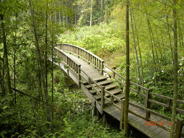 2009.5.14奮起湖緩慢之旅,vol.8,倫敦,南側森林步道,南部,國內旅遊,土耳其,大阪,宜蘭,居酒屋,捷克,旅遊,早午餐,板橋,法國,美食,自由行 @跟著Julie一起走吧 2009.5.14奮起湖緩慢之旅,vol.8,倫敦,南側森林步道,南部,國內旅遊,土耳其,大阪,宜蘭,居酒屋,捷克,旅遊,早午餐,板橋,法國,美食,自由行 @跟著Julie一起走吧